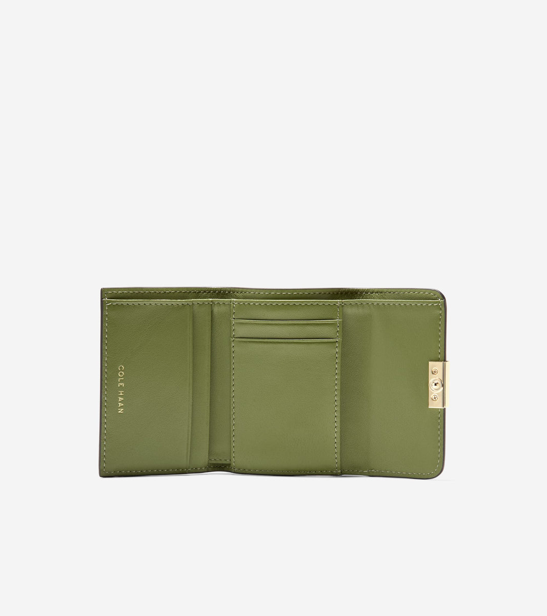 U08076:LIGHT MOSS:0000