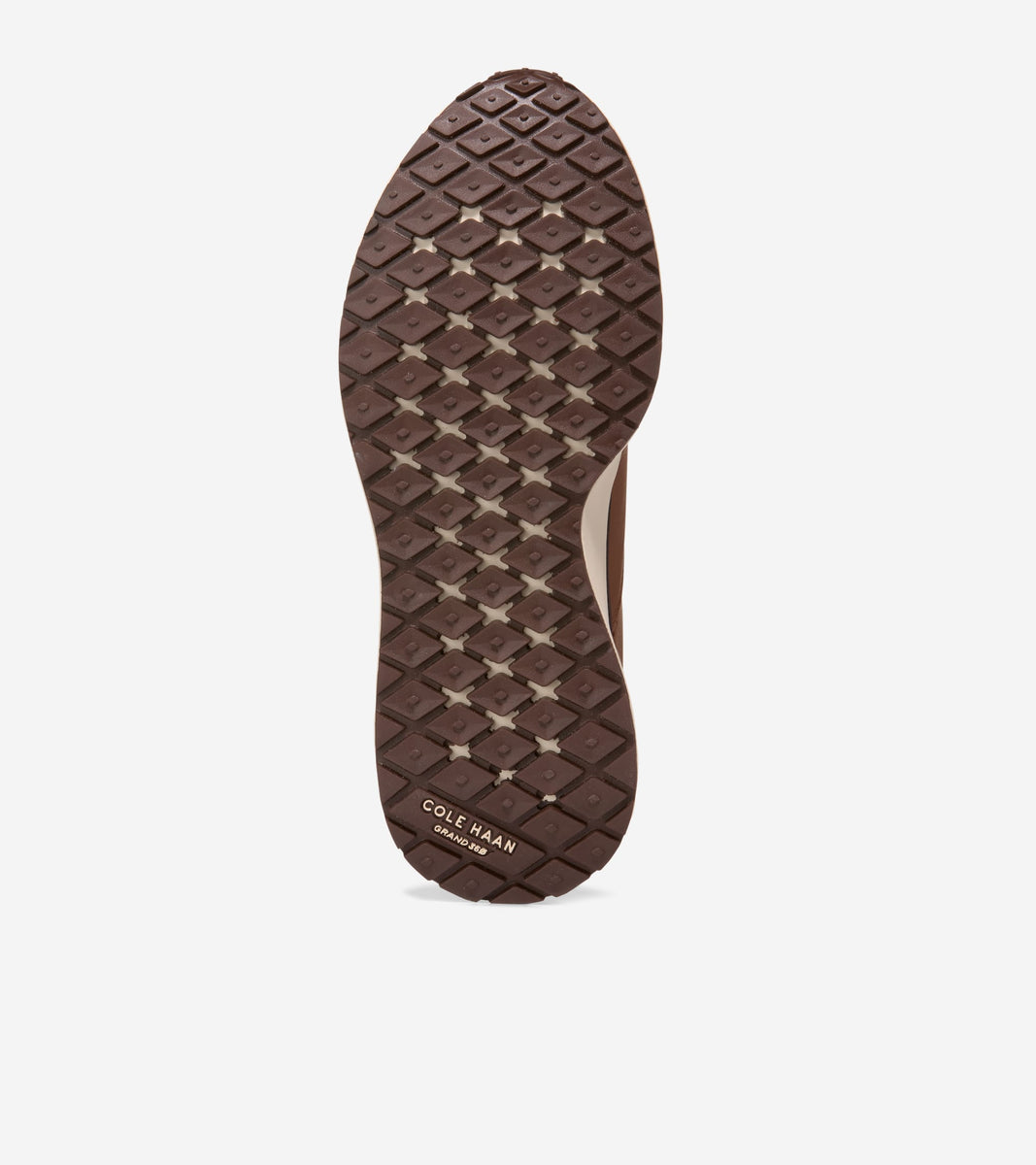 C43047:CH BRITISH TAN / CH MADEIRA / ANGORA