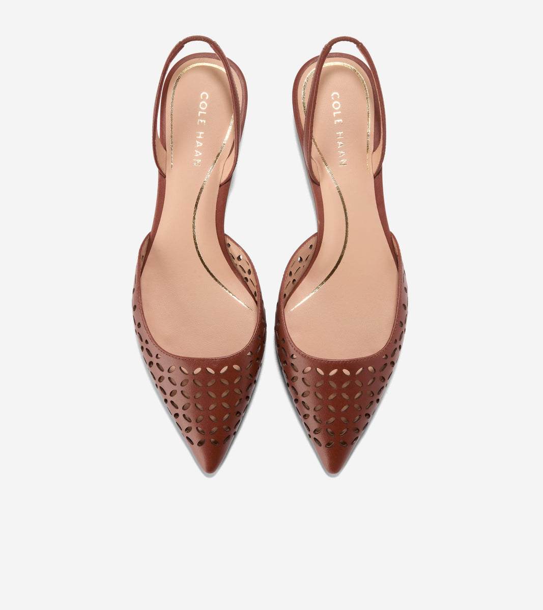 W33709:CH DK CUOIO PERFORATED LTR