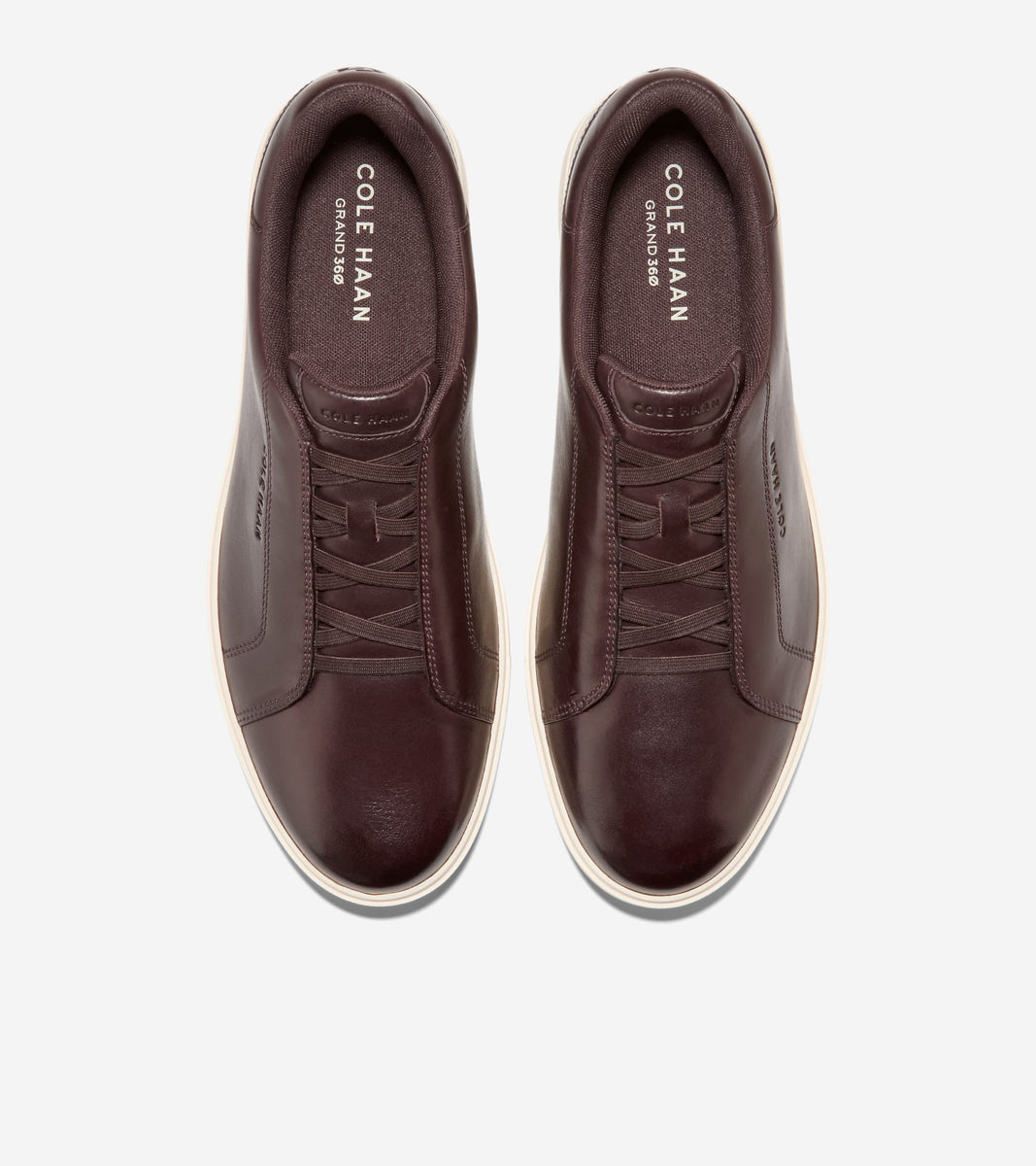 C41185:CH DK CHOCOLATE / IVORY