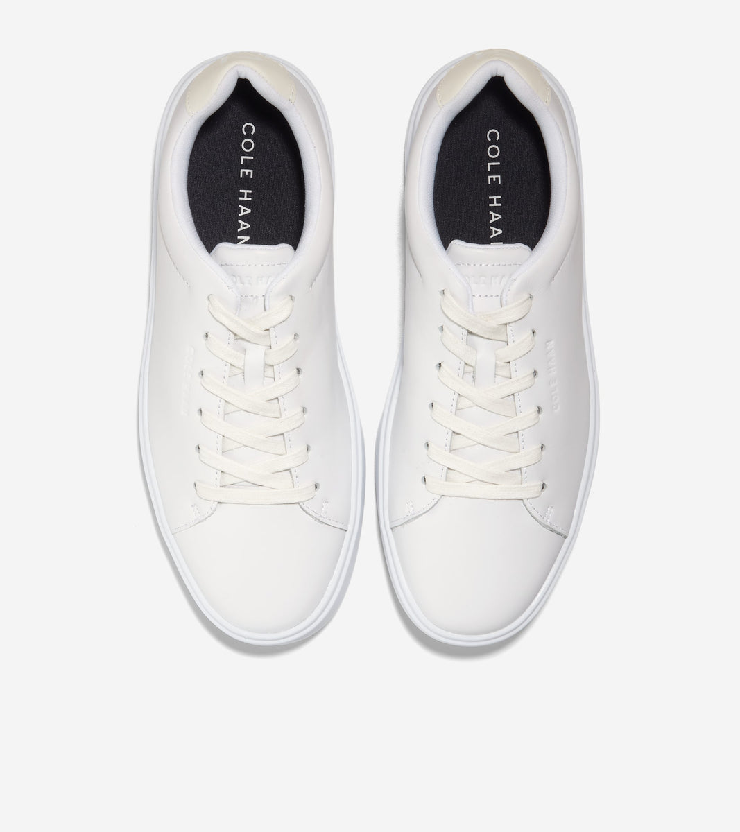C36656:OPTIC WHITE/EGRET