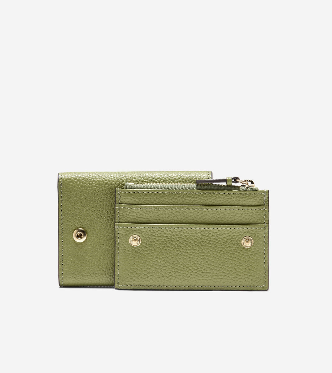 U08076:LIGHT MOSS:0000