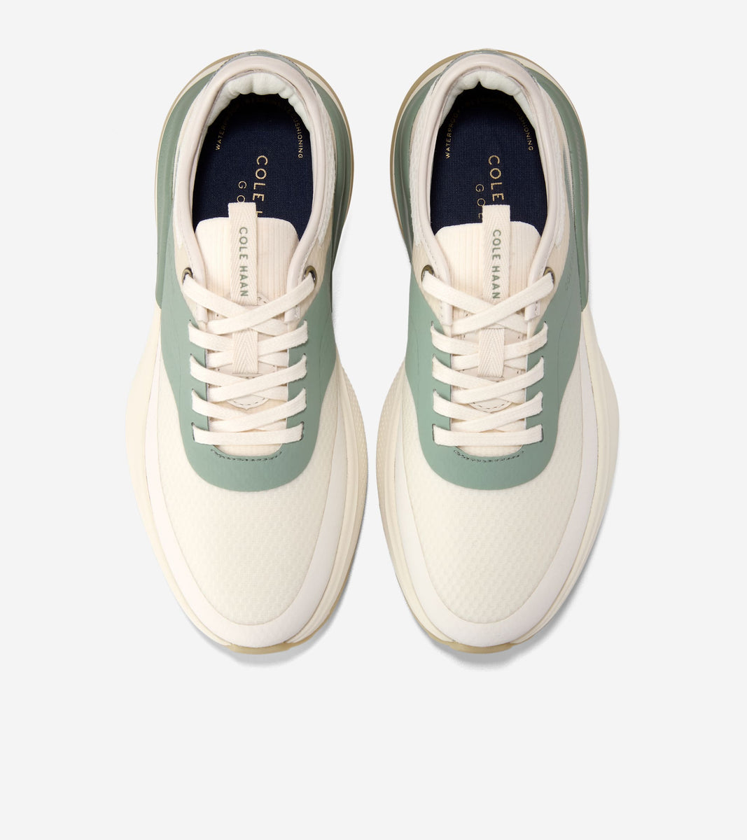 W36111:IVORY / LILY PAD / CH POWDER WP