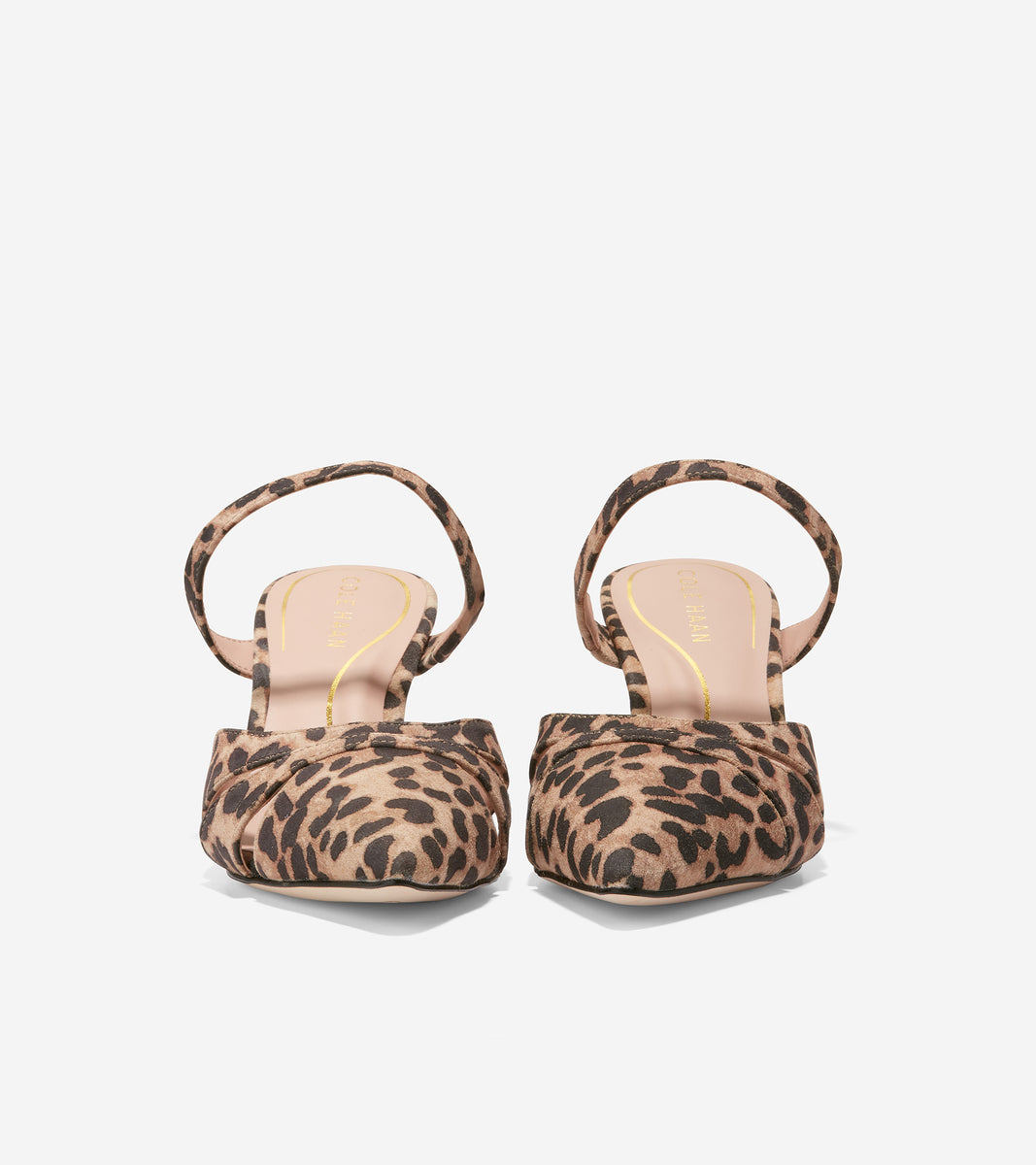 Women's Vandam Mule