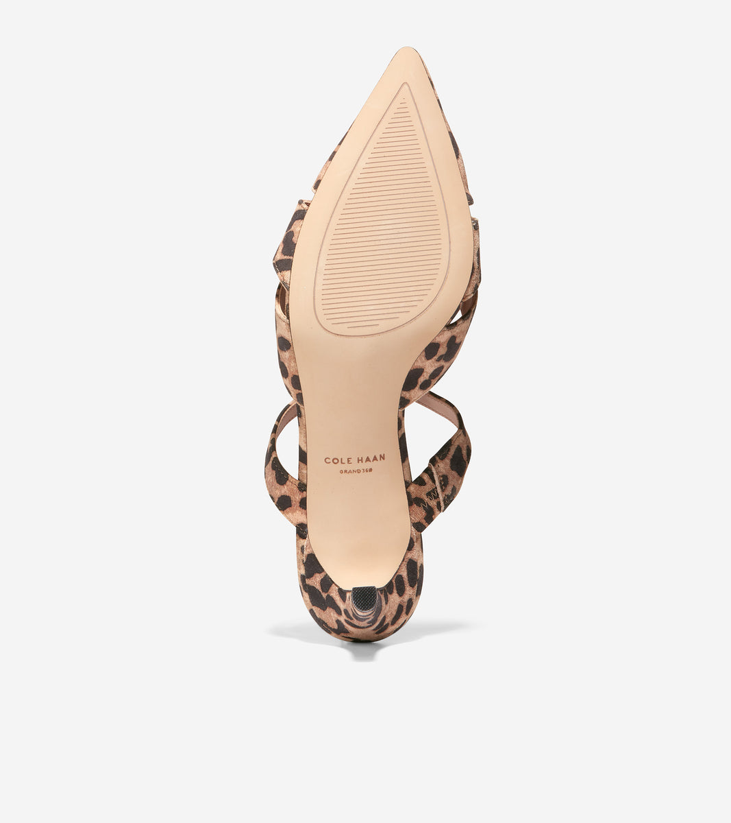 Women's Vandam Mule